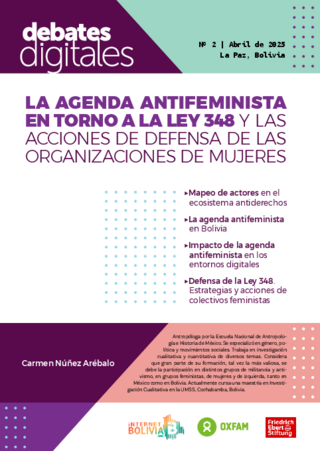 La agenda antifeminista en torno a la Ley 348 y las acciones de defensa de las organizaciones de mujeres